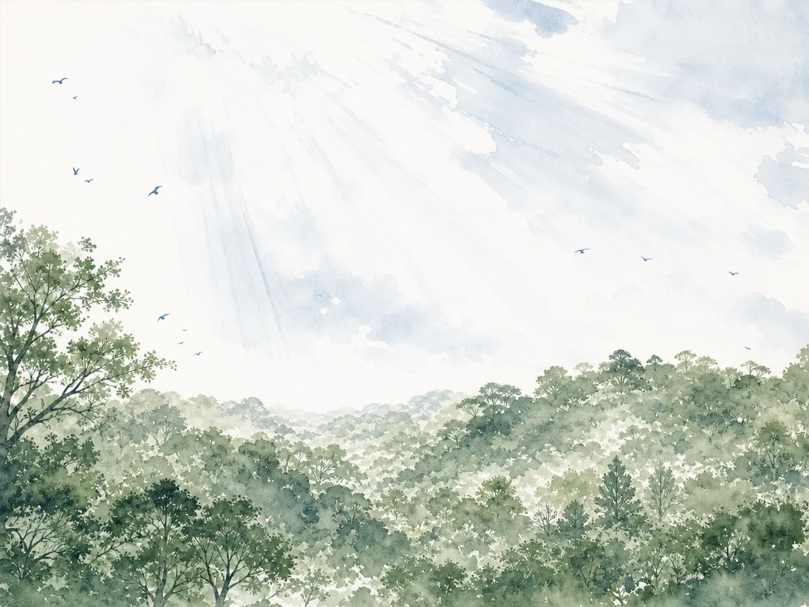 Sunlight warming hillside vineyard while gardener watches from distance without intrusive chains in radiant landscape wash with atmospheric perspective, illustrating mentoring others without demanding credit or claiming possession on ChiDestiny